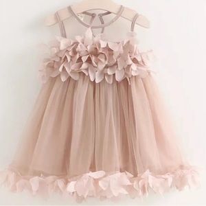 NWT Blush pink blossom dress